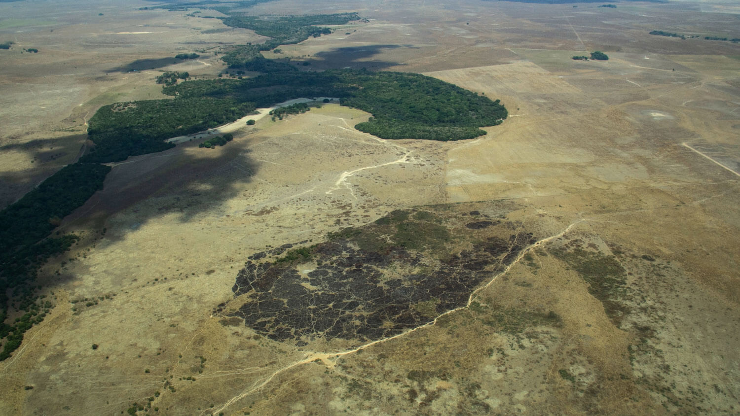 Amazon: The Lost Land