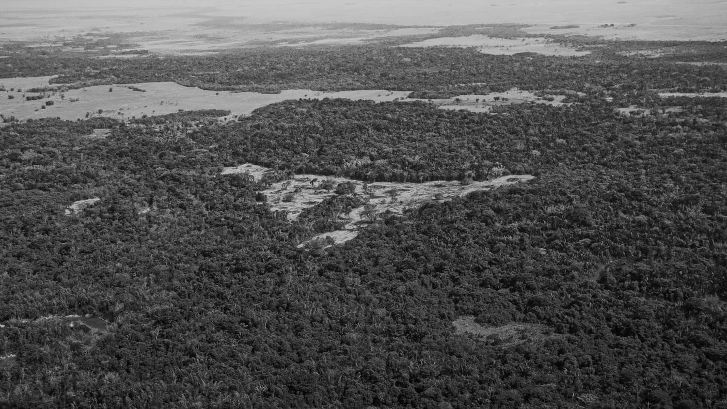 Amazon: The Lost Land