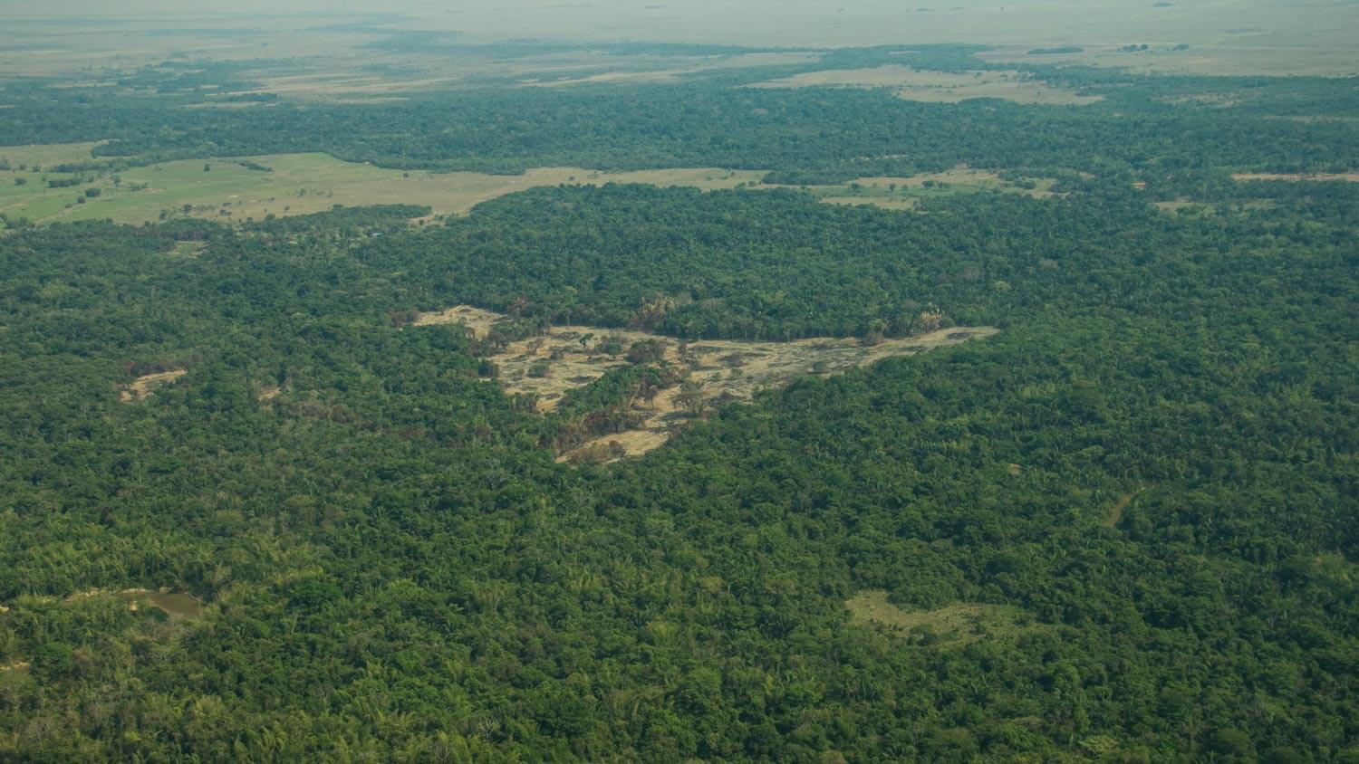 Amazon: The Lost Land