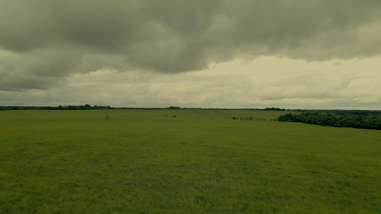 Amazon: The Lost Land