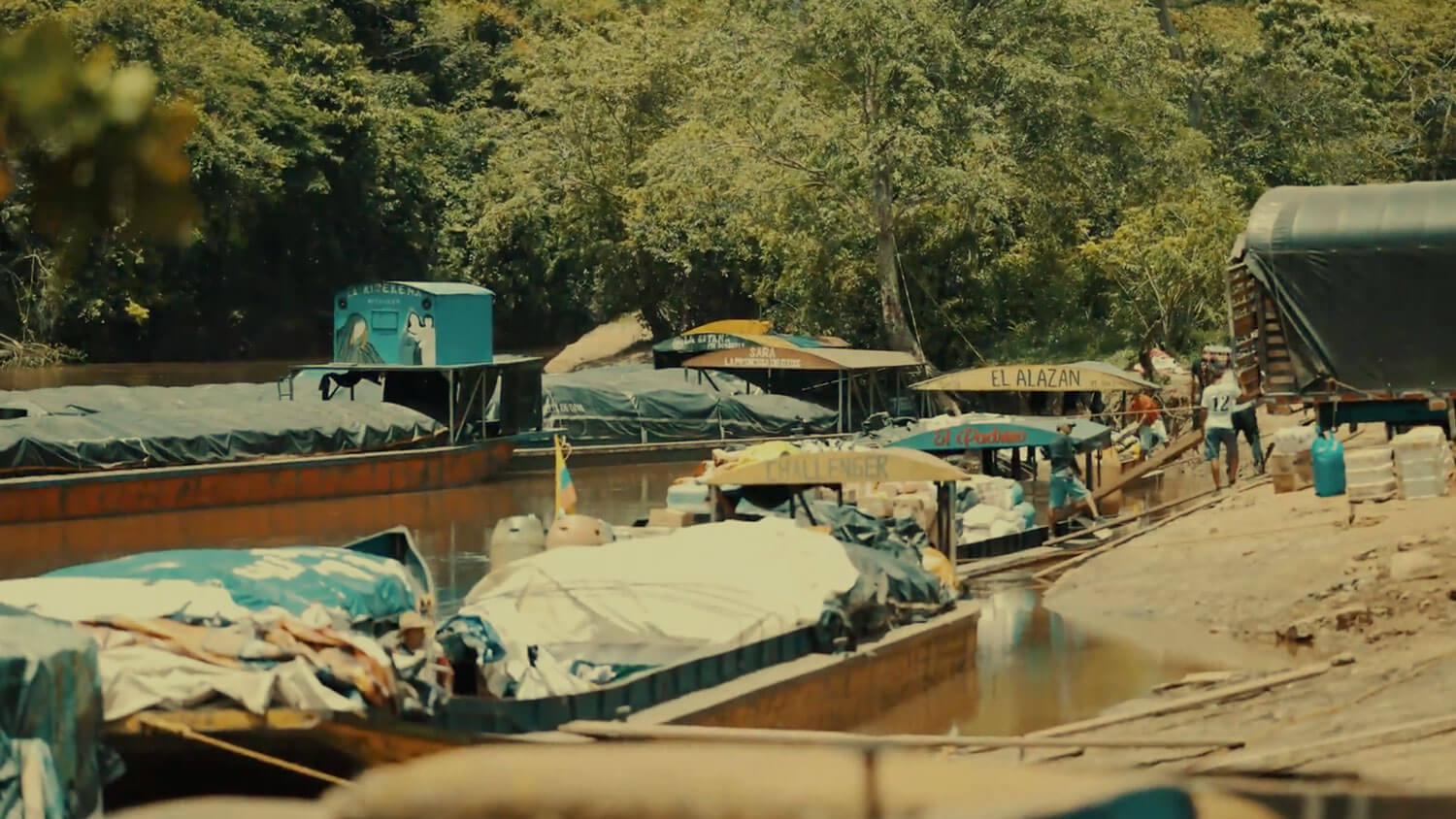 Amazon: The Lost Land