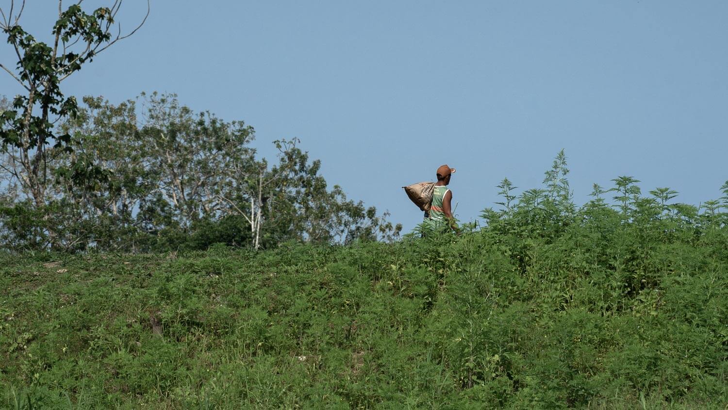 Amazon: The Lost Land