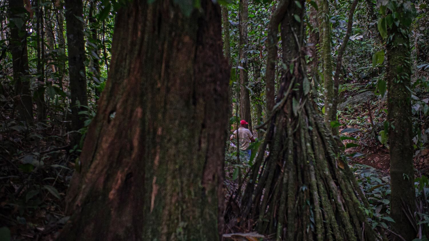 Amazon: The Lost Land