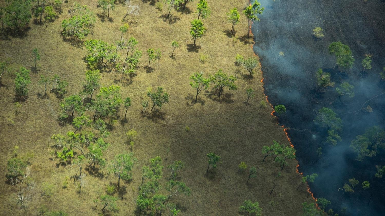 Amazon: The Lost Land