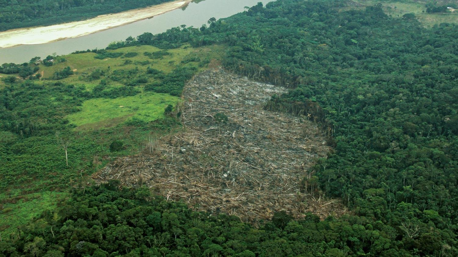 Amazon: The Lost Land