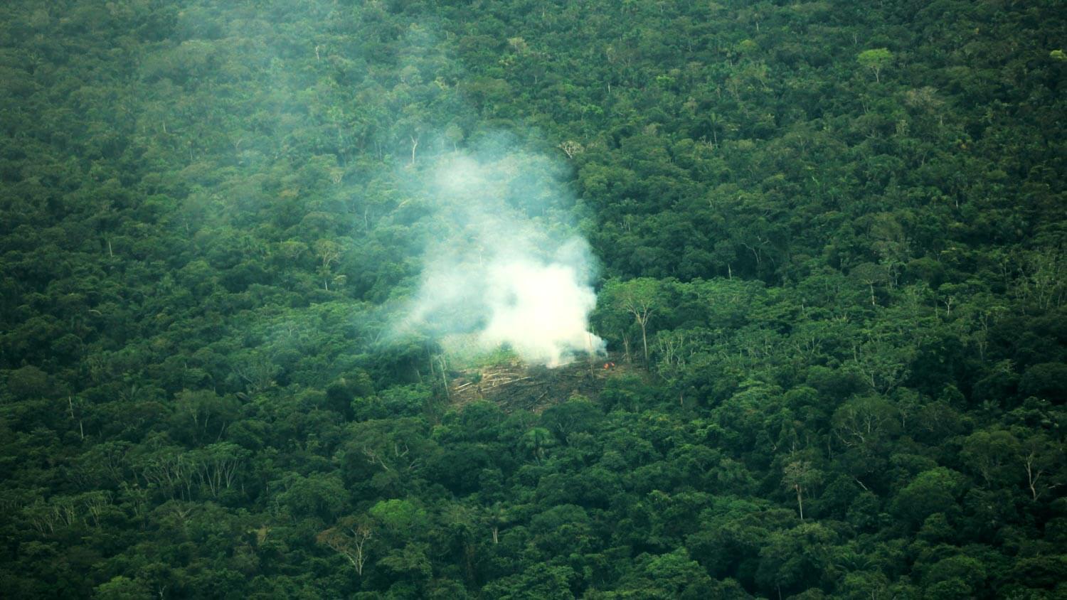 Amazon: The Lost Land