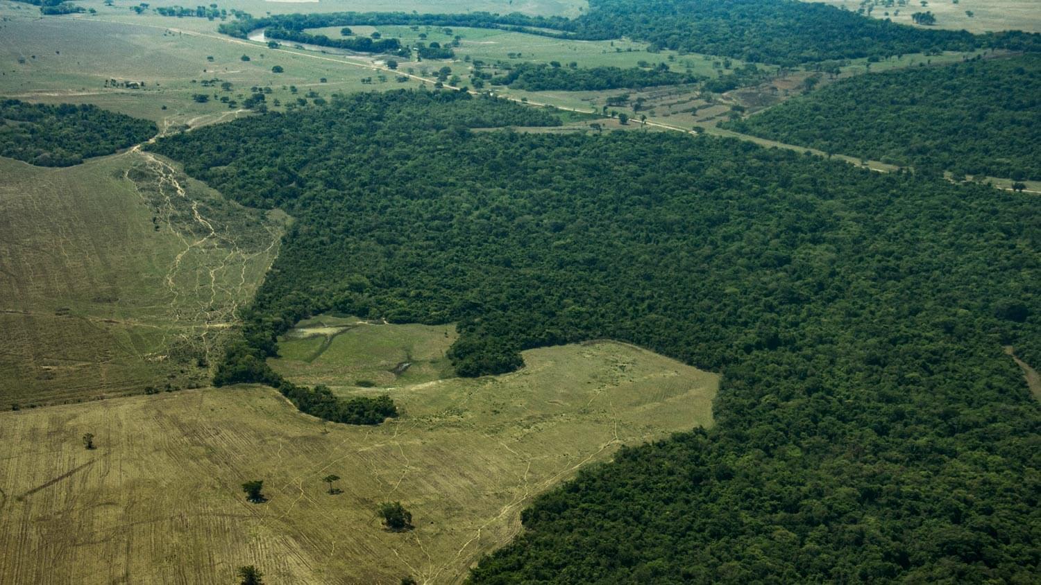 Amazon: The Lost Land