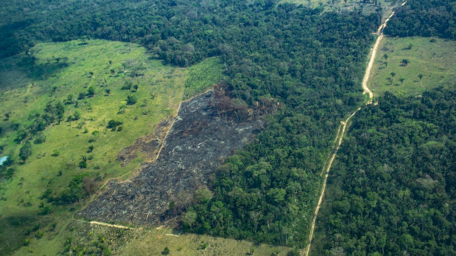 Amazon: The Lost Land