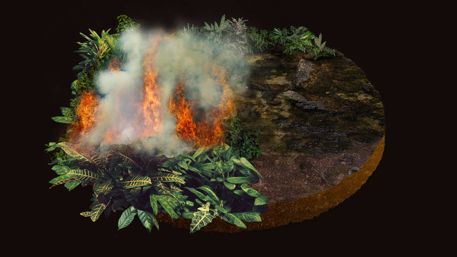 Amazon: The Lost Land
