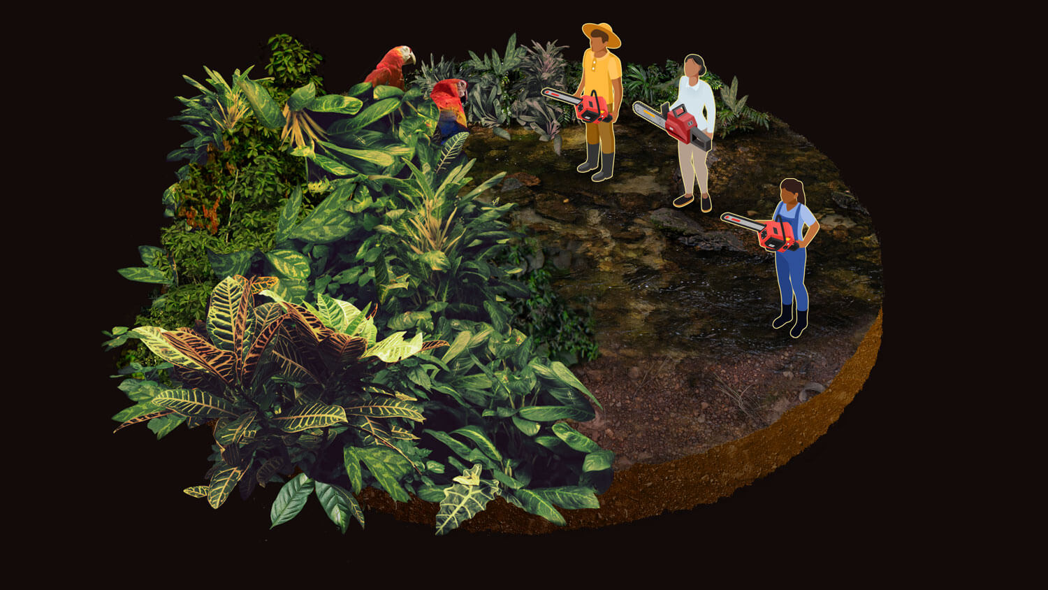 Amazon: The Lost Land