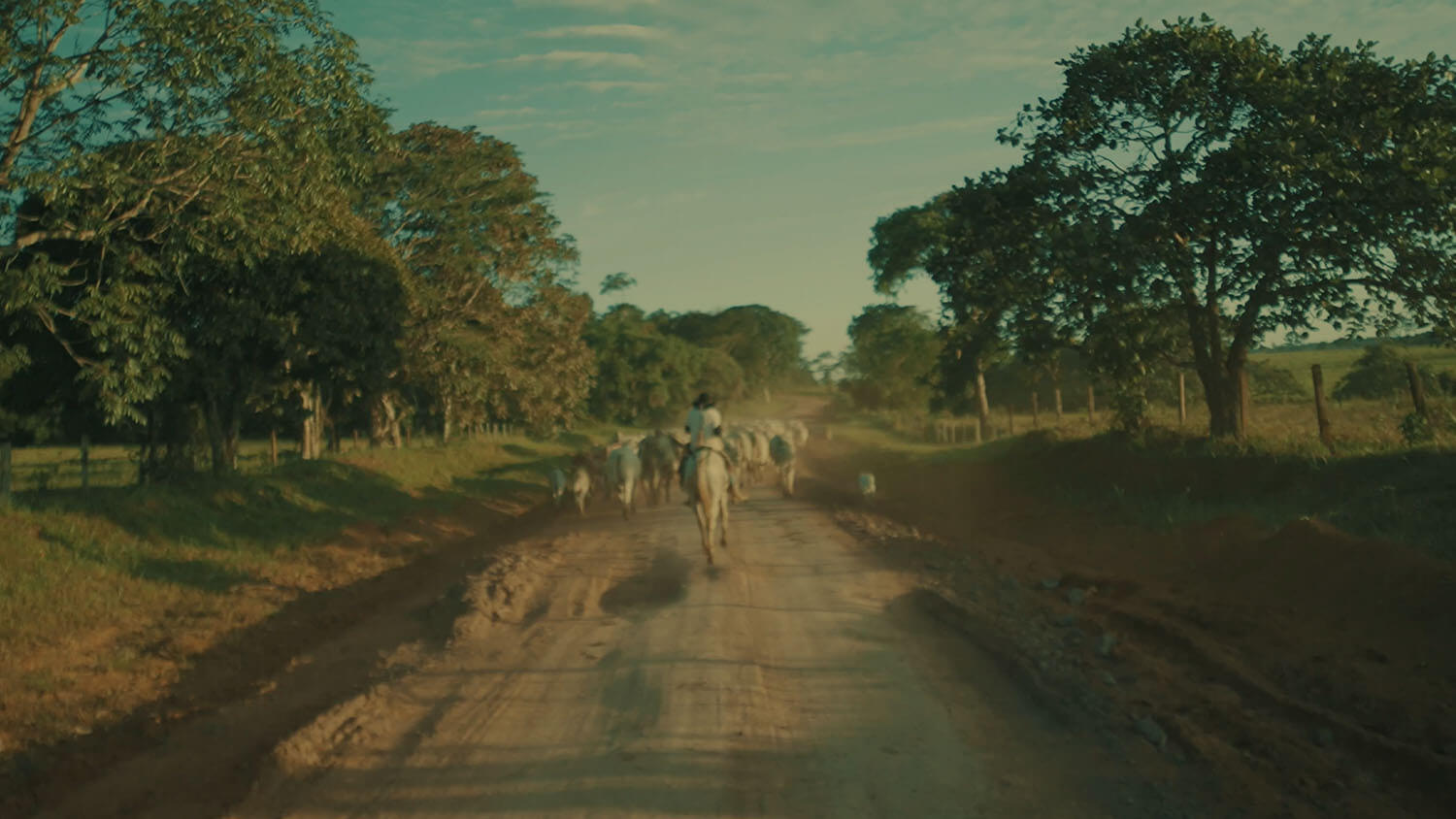 Amazon: The Lost Land
