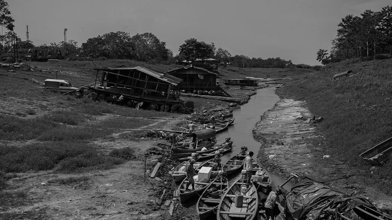 Amazon: The Lost Land