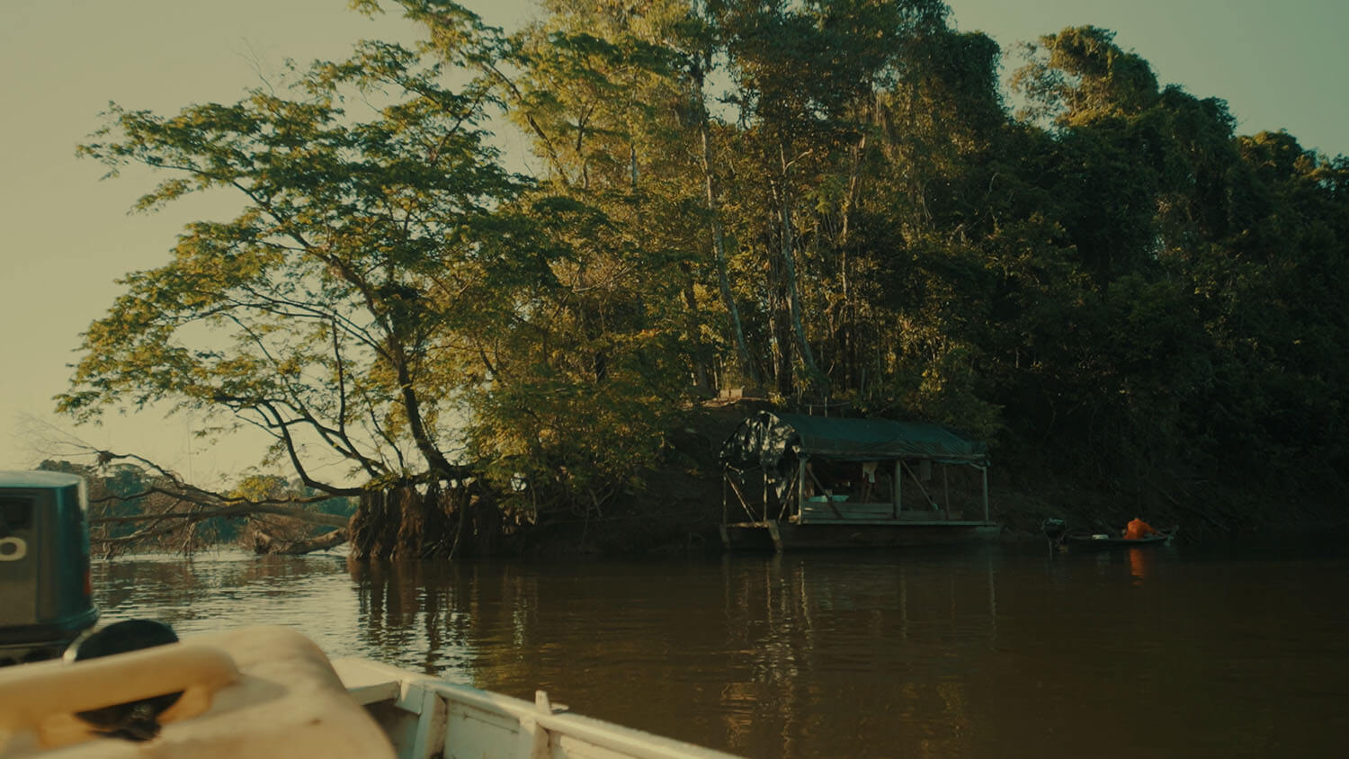 Amazon: The Lost Land