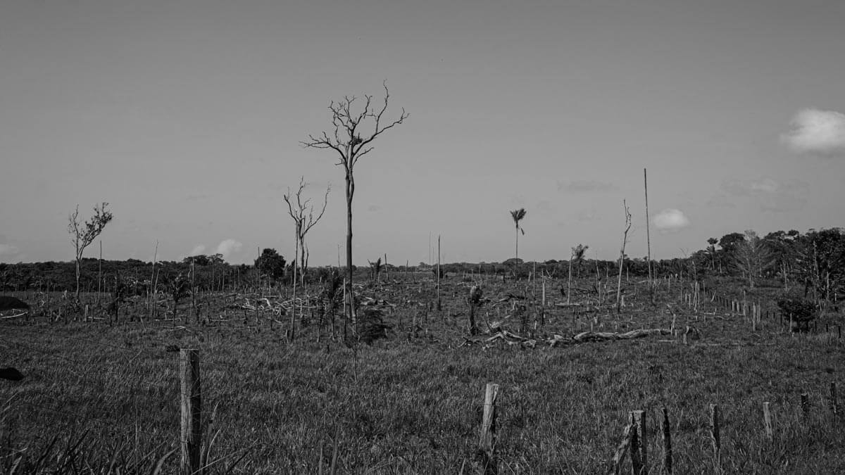 Amazon: The Lost Land