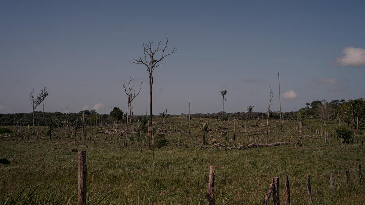 Amazon: The Lost Land