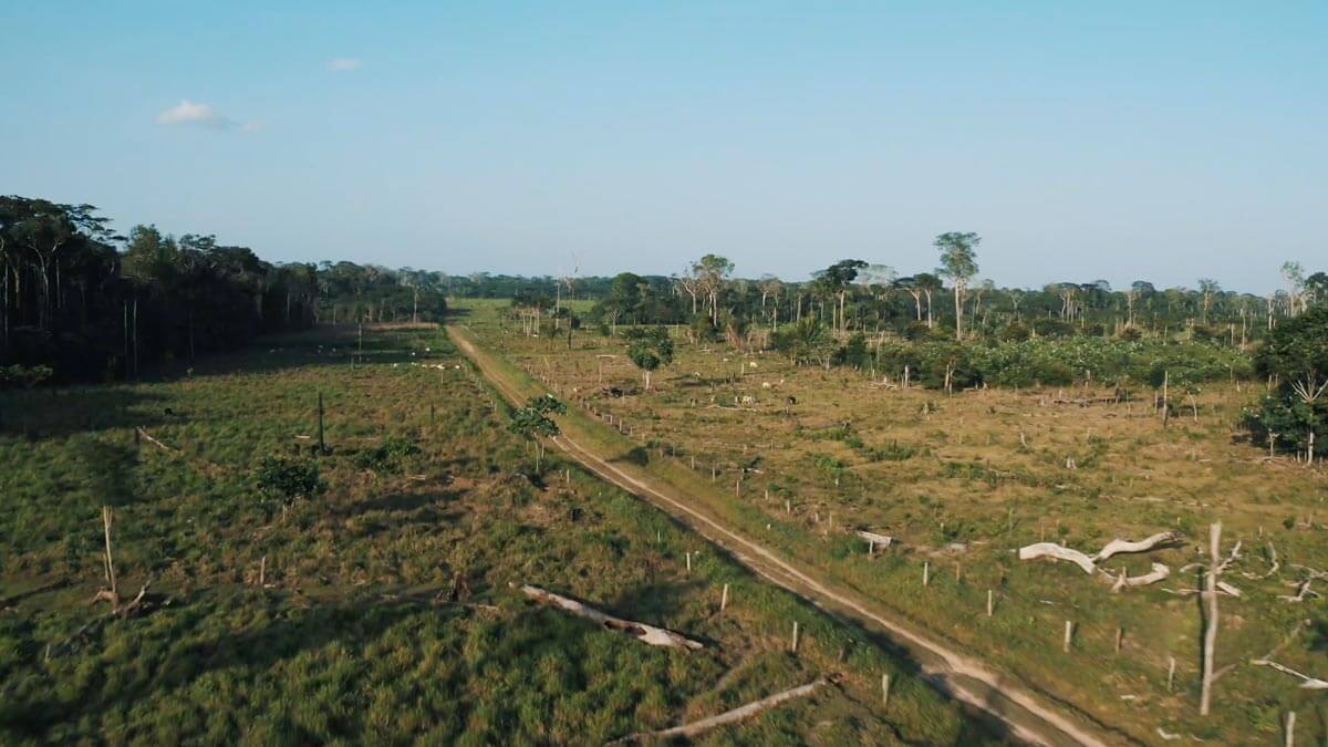Amazon: The Lost Land