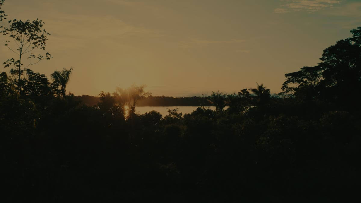 Amazon: The Lost Land