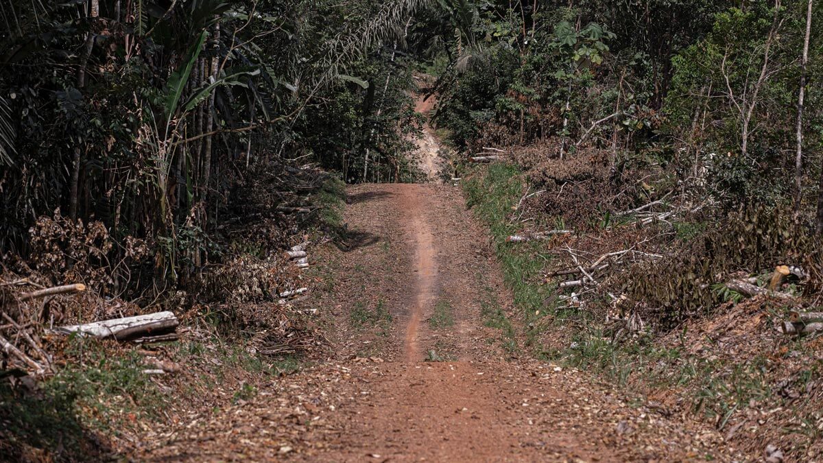 Amazon: The Lost Land
