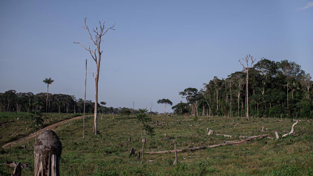 Amazon: The Lost Land