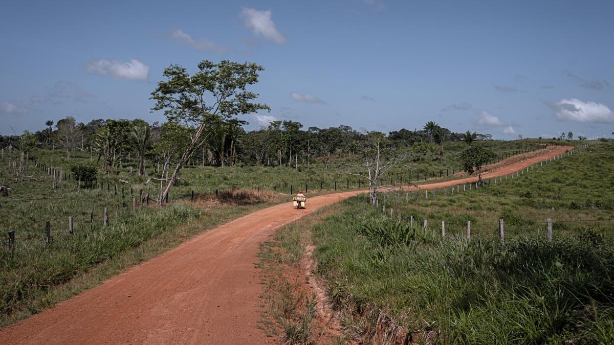 Amazon: The Lost Land