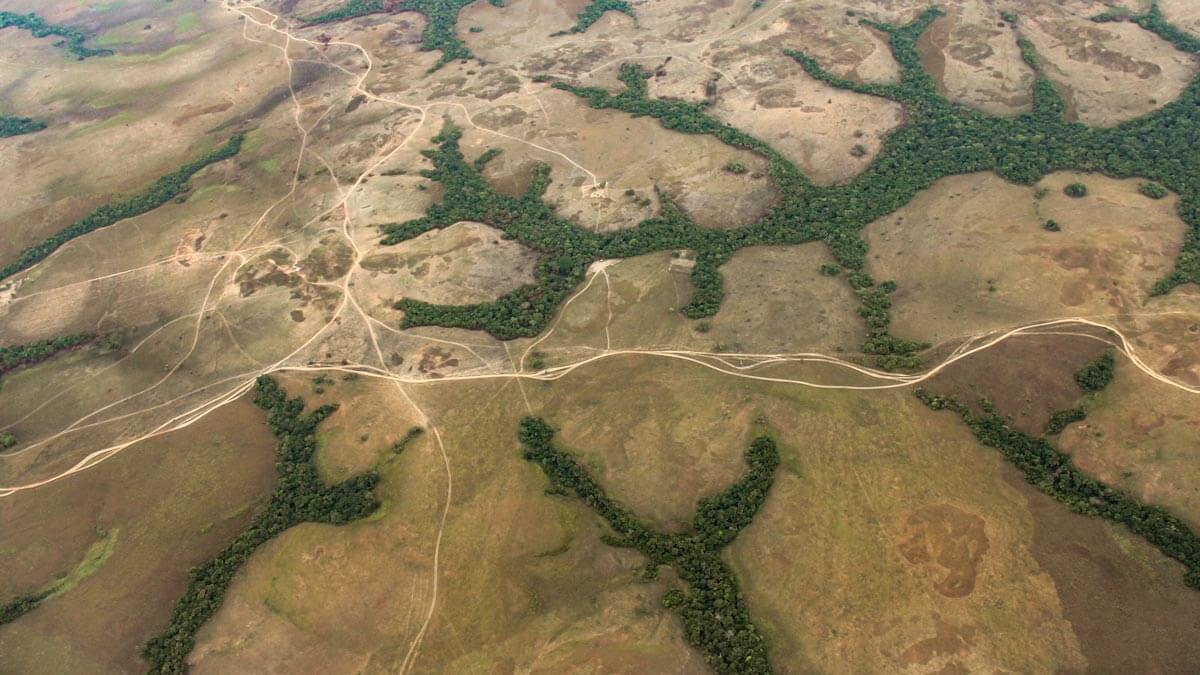 Amazon: The Lost Land