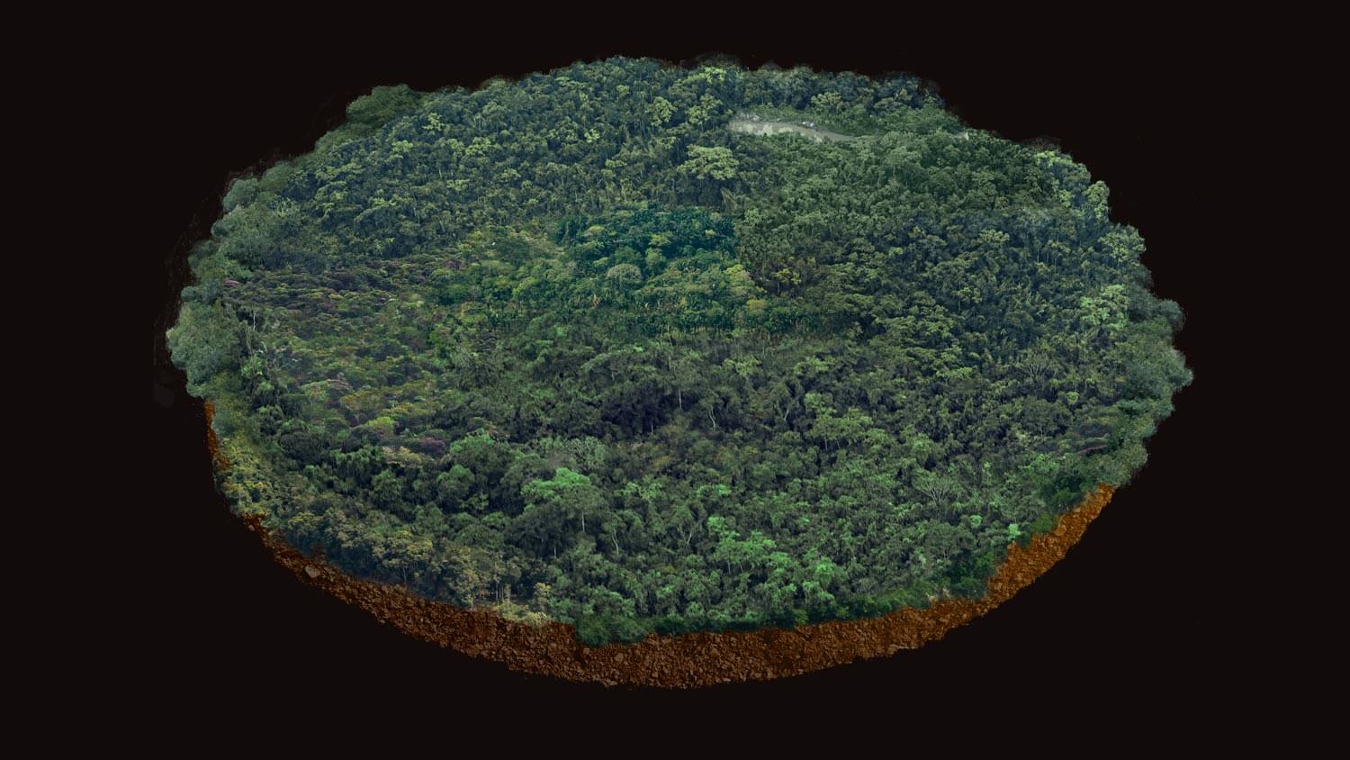 Amazon: The Lost Land