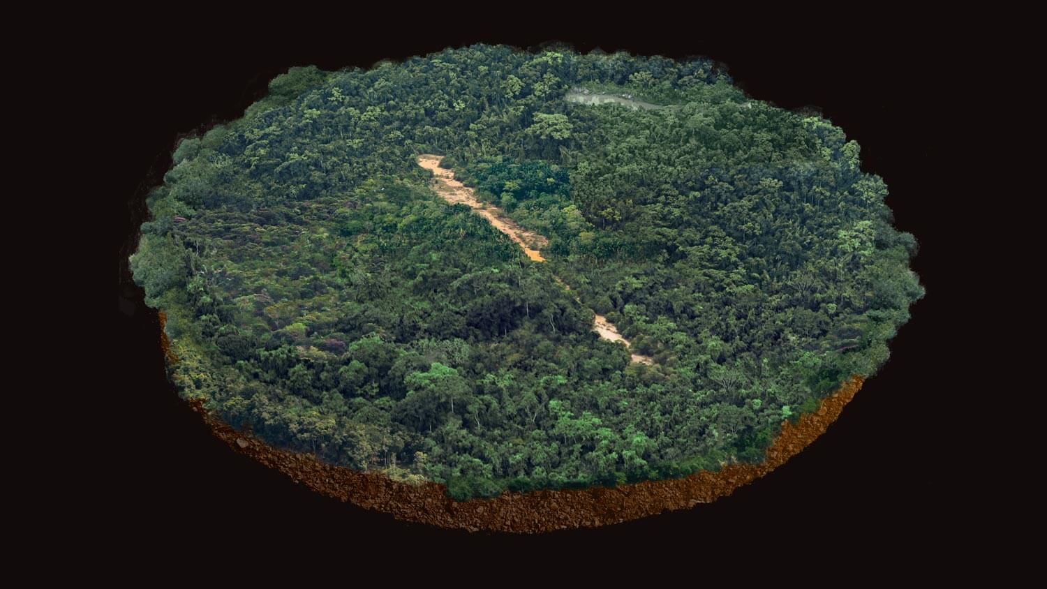 Amazon: The Lost Land