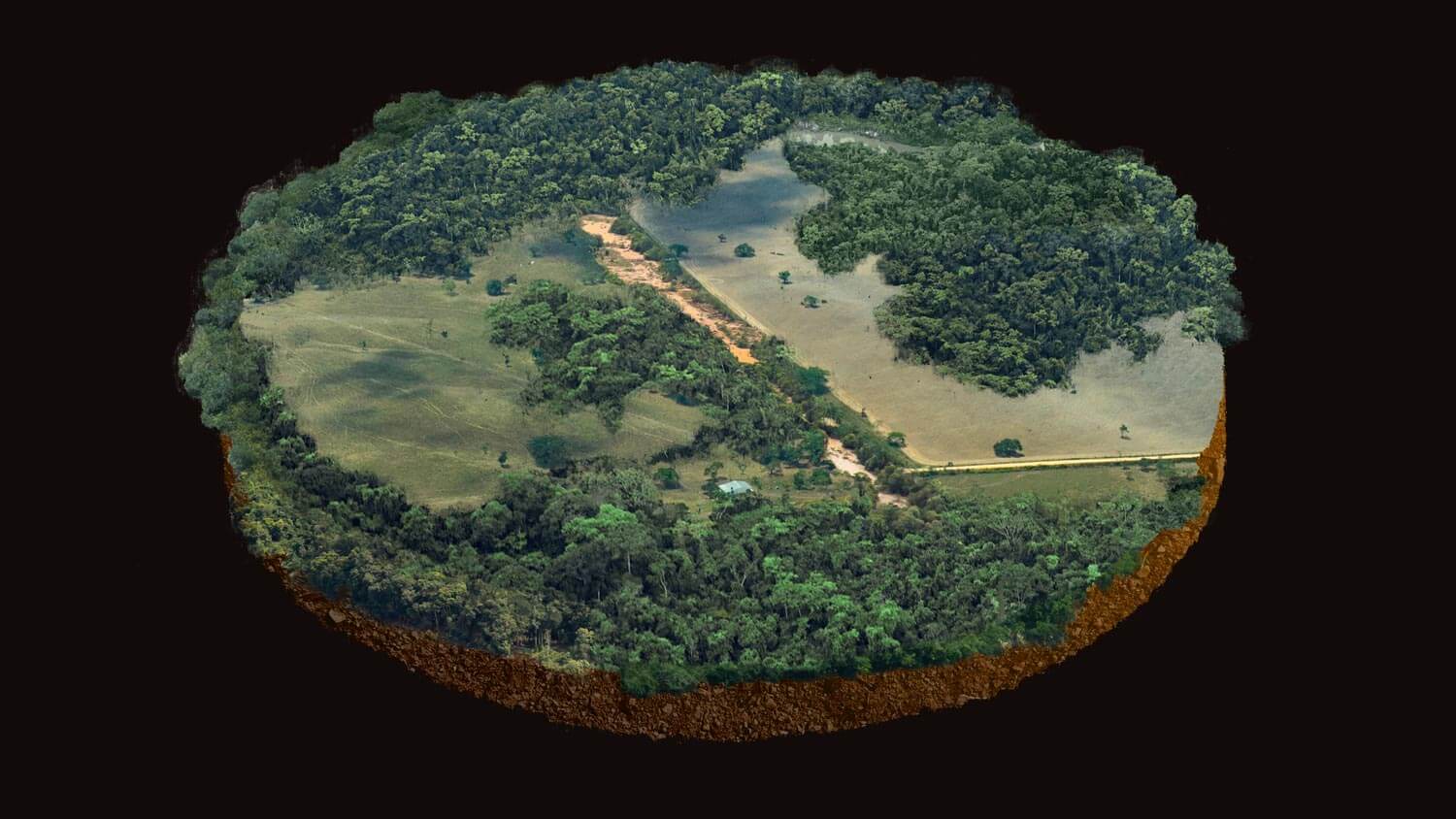 Amazon: The Lost Land