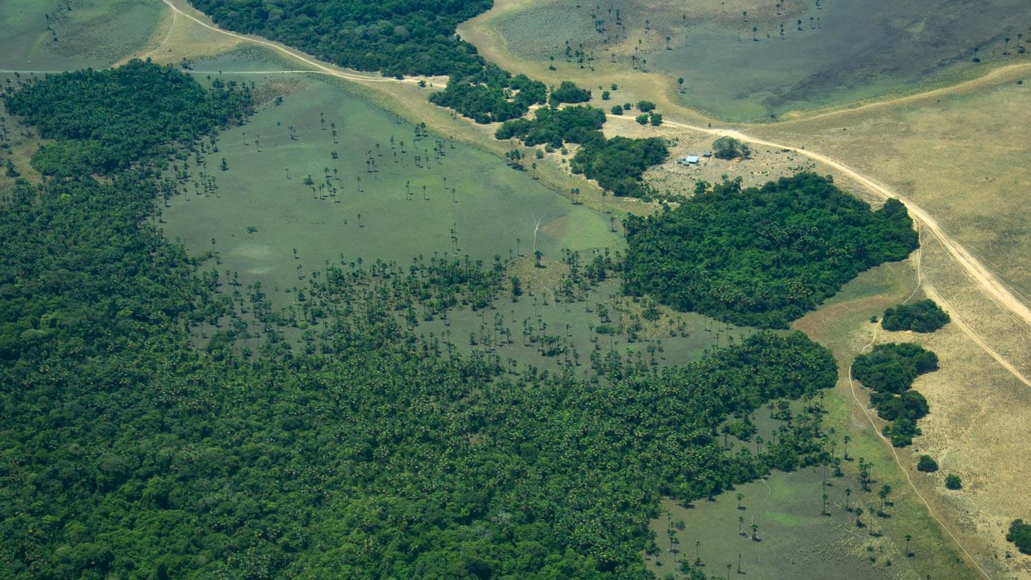 Amazon: The Lost Land