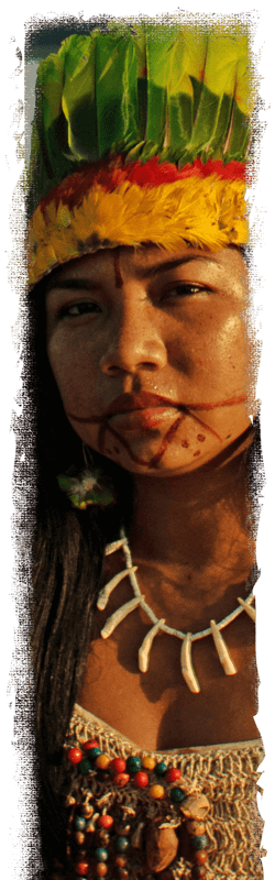 Amazon: The Lost Land