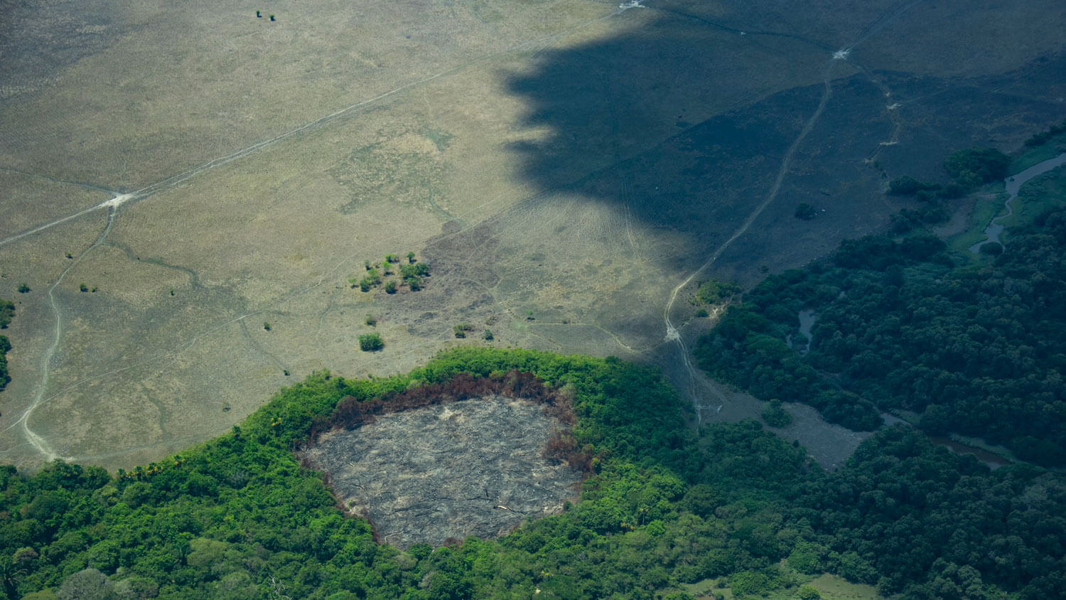 Amazonía: La tierra perdida