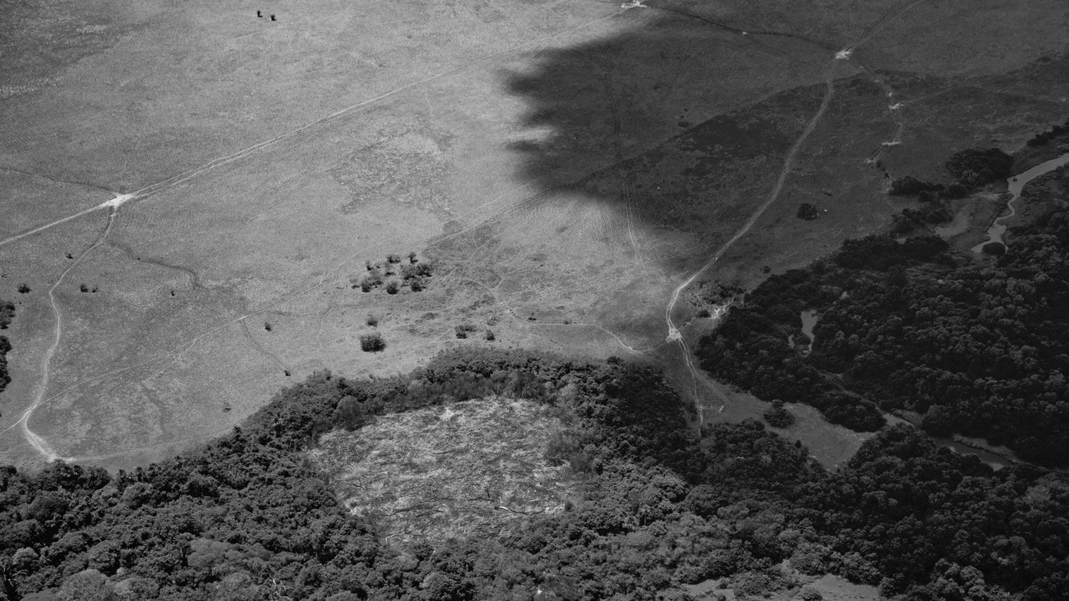 Amazonía: La tierra perdida