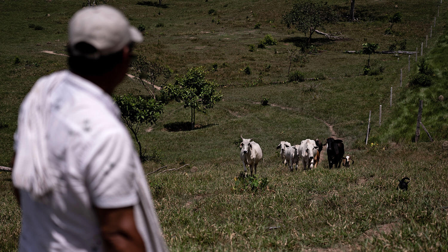 Amazonía: La tierra perdida