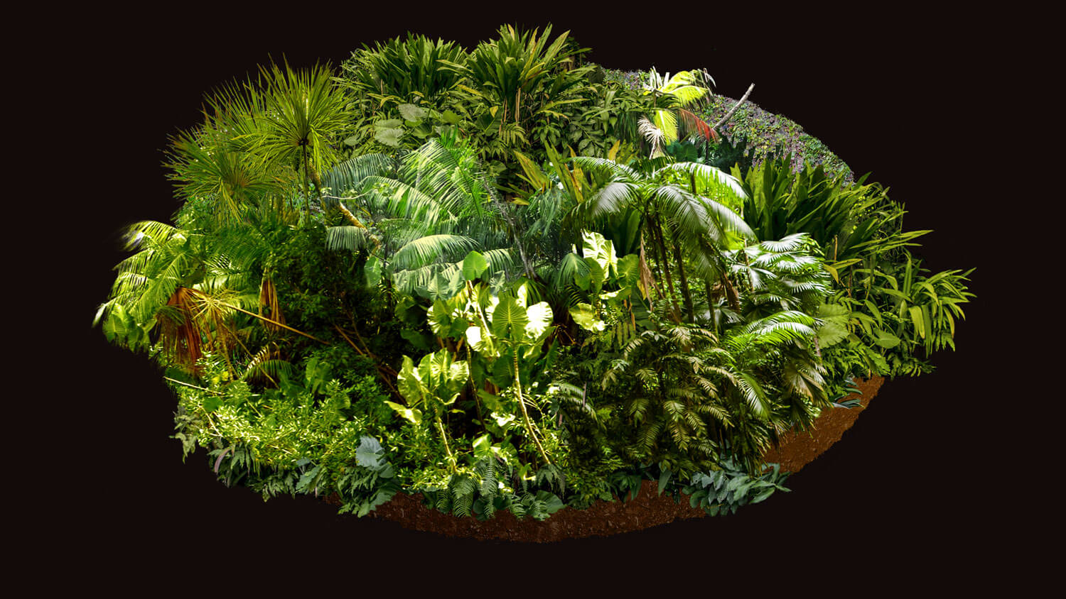 Amazonía: La tierra perdida