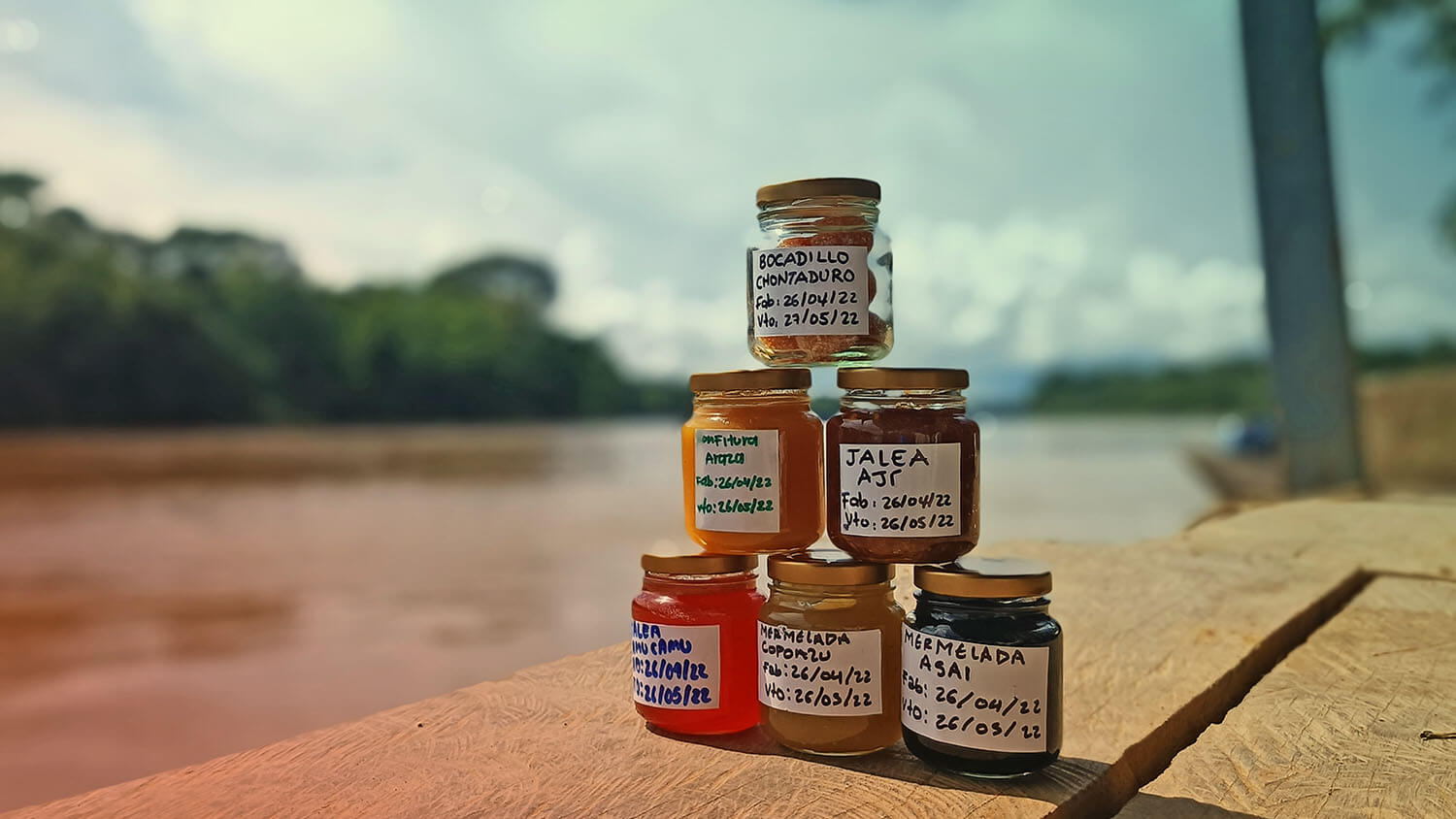 Amazonía: La tierra perdida
