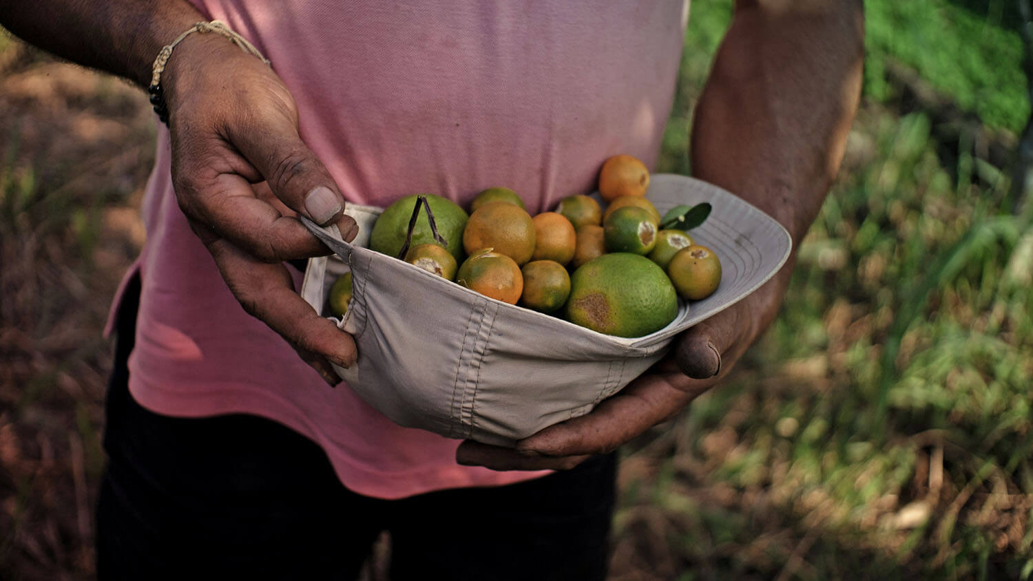 Amazonía: La tierra perdida
