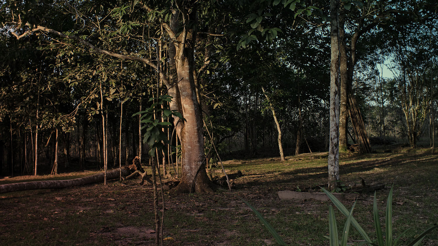 Amazonía: La tierra perdida