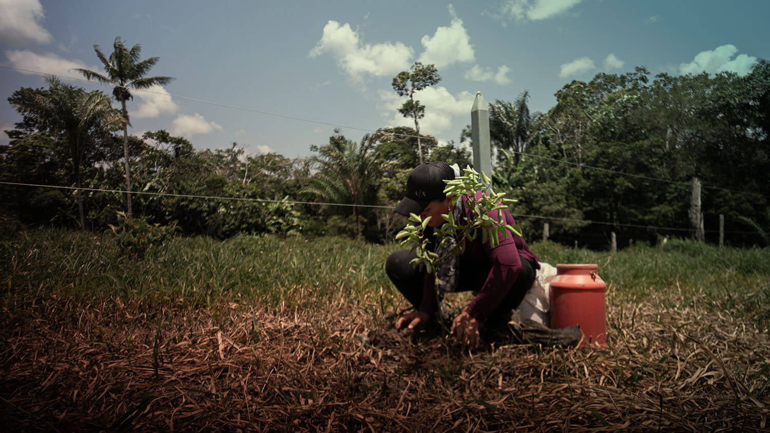 Amazonía: La tierra perdida