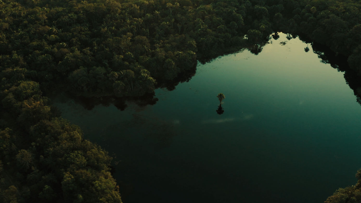 Amazonía: La tierra perdida