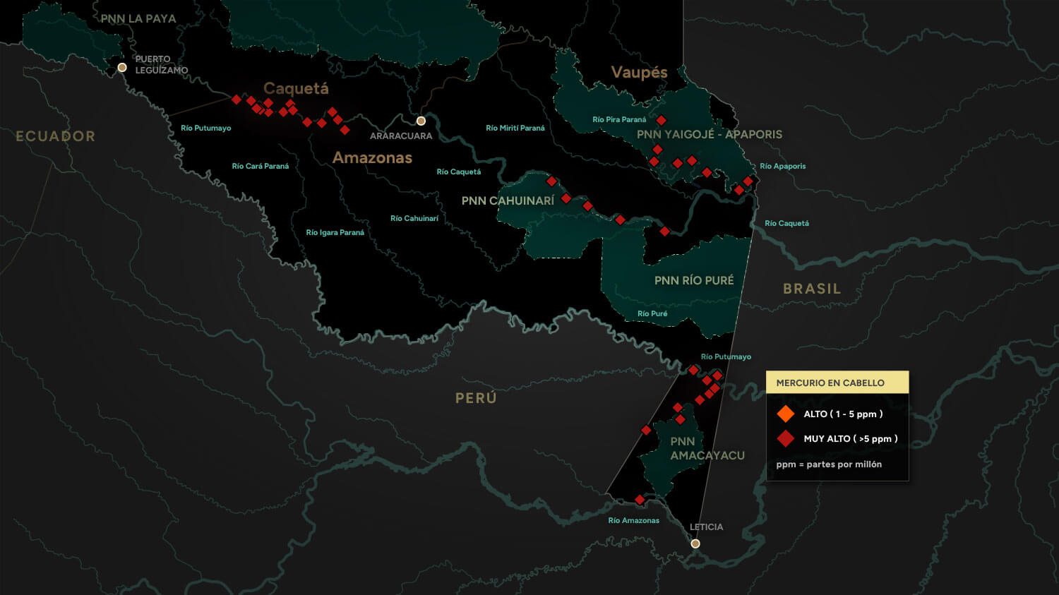 Amazonía: La tierra perdida