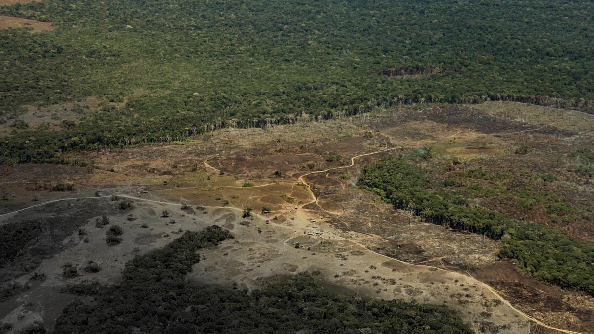 Amazonía: La tierra perdida