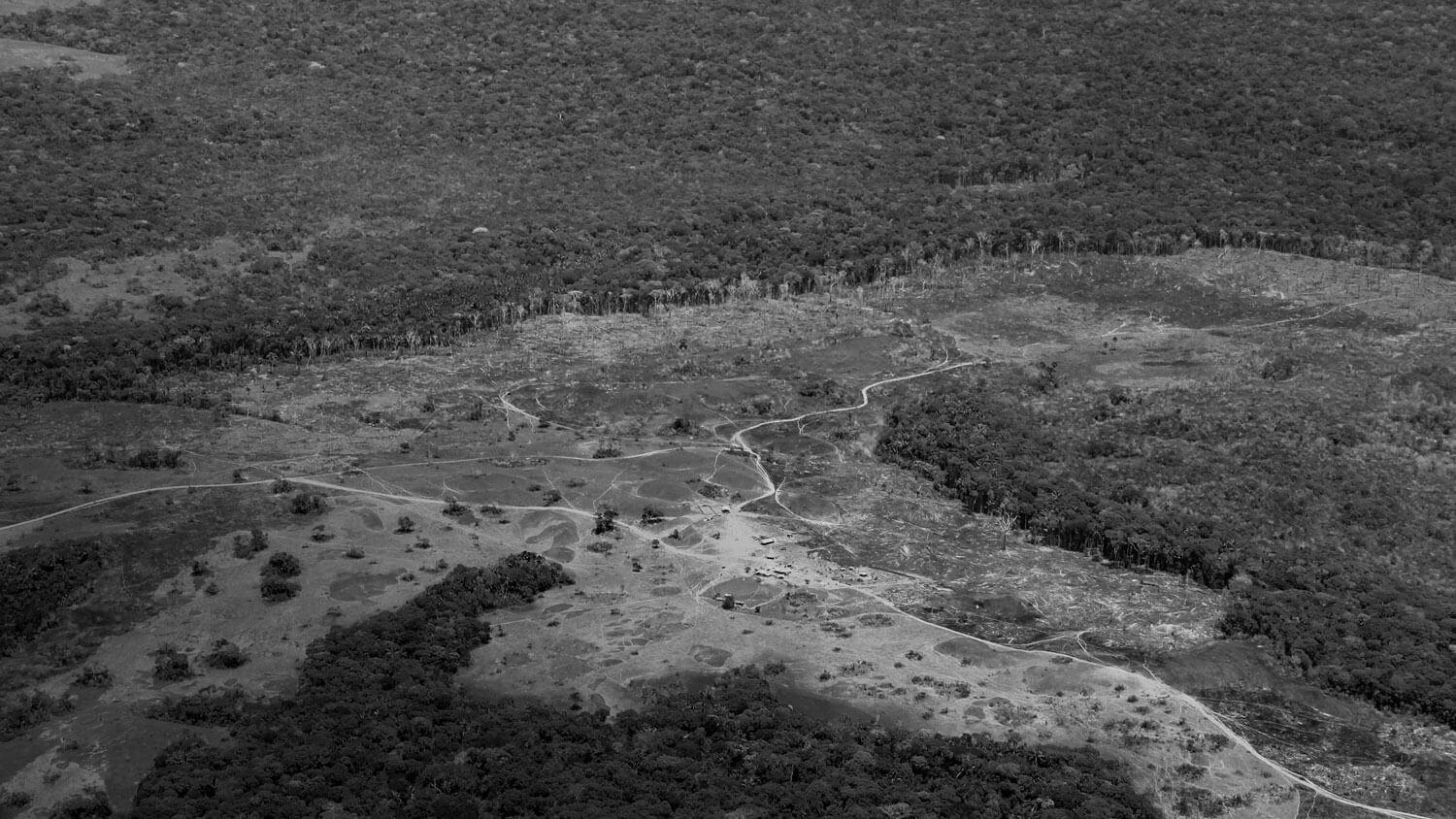 Amazonía: La tierra perdida