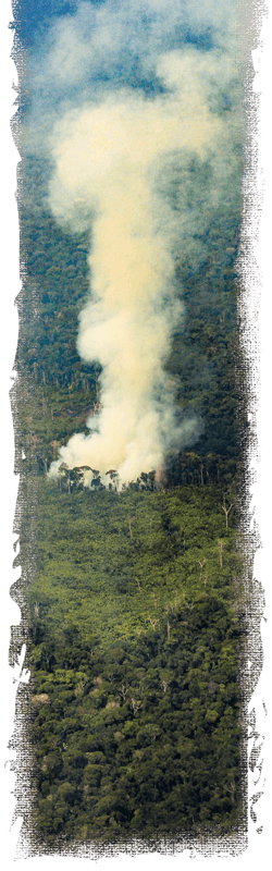 Amazonía: La tierra perdida